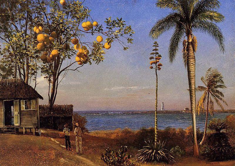Albert Bierstadt A View in the Bahamas Sweden oil painting art